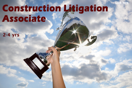 Head of Litigation