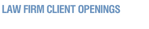 Law Firm Client Advocacy