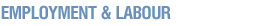 Labour & Employment Opportunities